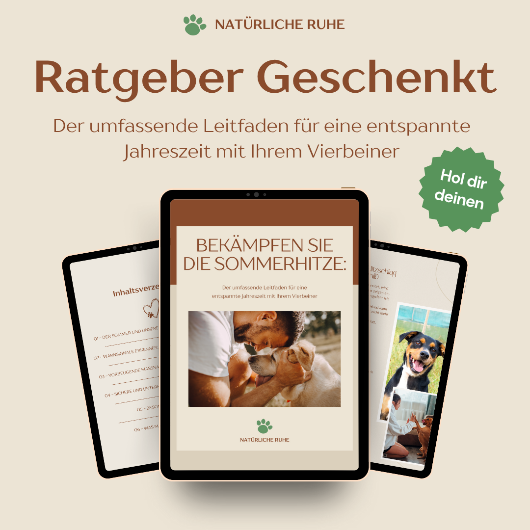 Bekämpfen Sie die Hitze: Eisseide Kühlmatte für Ihre Haustiere in diesem Sommer!