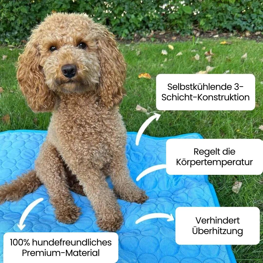Bekämpfen Sie die Hitze: Eisseide Kühlmatte für Ihre Haustiere in diesem Sommer!
